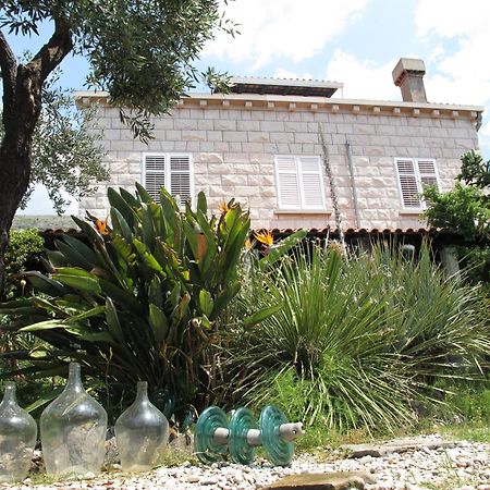 Guest House Maria Bilicic Dubrovnik Eksteriør bilde